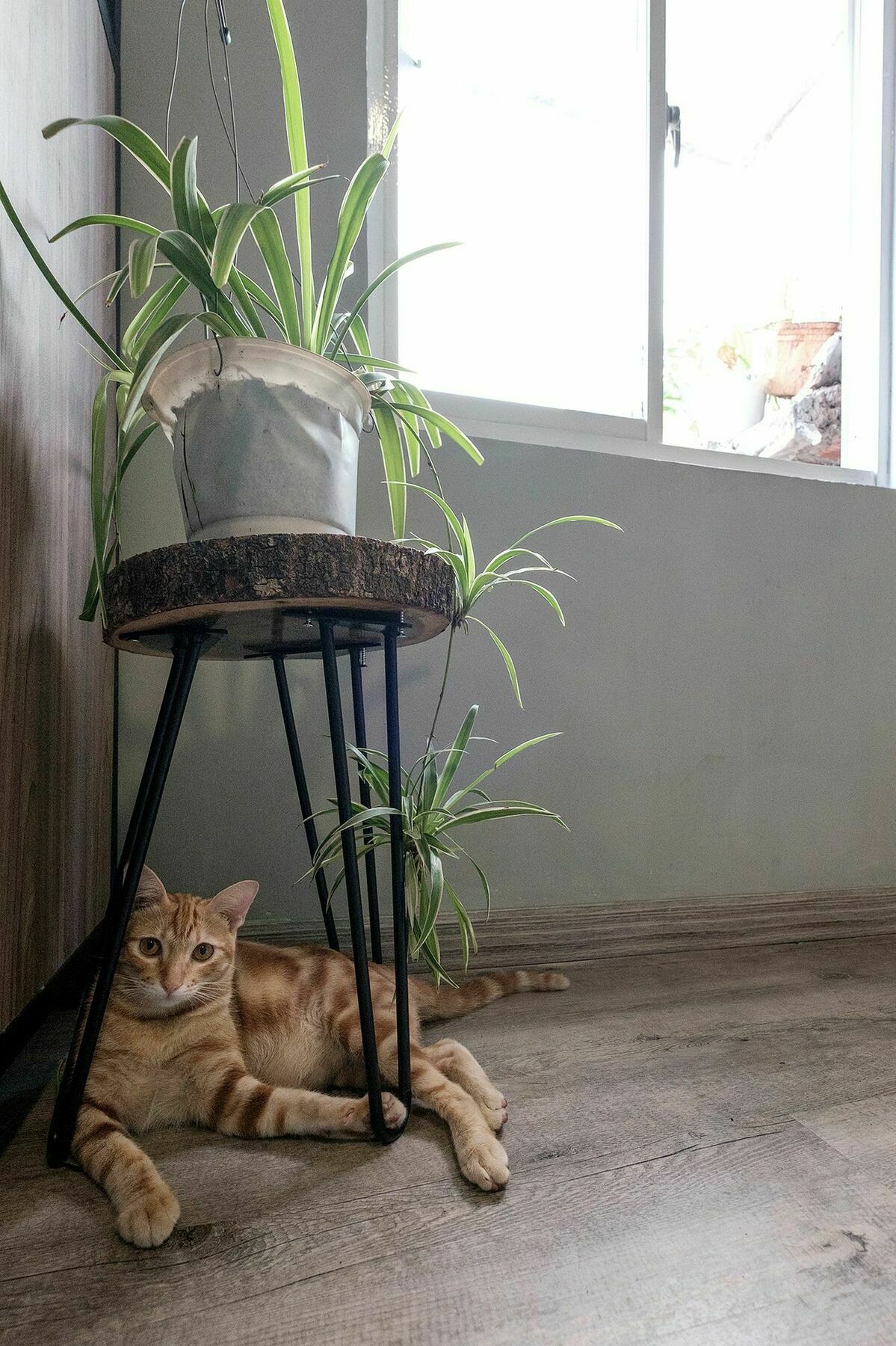 Saigon Inner Home Ho Chi Minh City Exterior photo